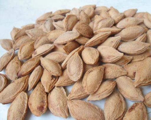 КОСТОЧКА&nbsp; &nbsp; АЛЫЧИ